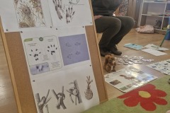 Na tablicy informacyjnej obrazki przedstawiające ciekawostki z życia wiewiórki.