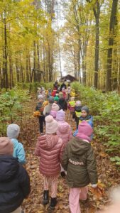 Dzieci podążają ścieżką edukacyjną za panią leśnik. Po drodze zbieraja kolorowe liście.