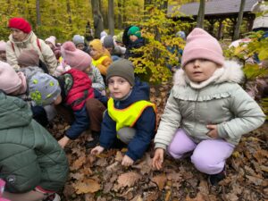 Przedszkolaki kucają wśród jesiennych liści. Znajdują się w lesie.