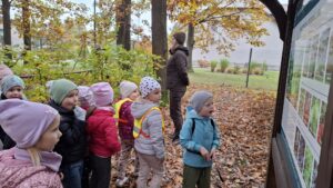 Przedszkolaki przyglądają się tablicom edukacyjnym znajdującym się na trasie ścieżki edukacyjnej  w lesie.