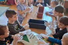 IMG-20250325-WA0007