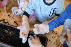 IMG-20250325-WA0008