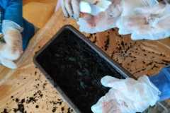 IMG-20250325-WA0009